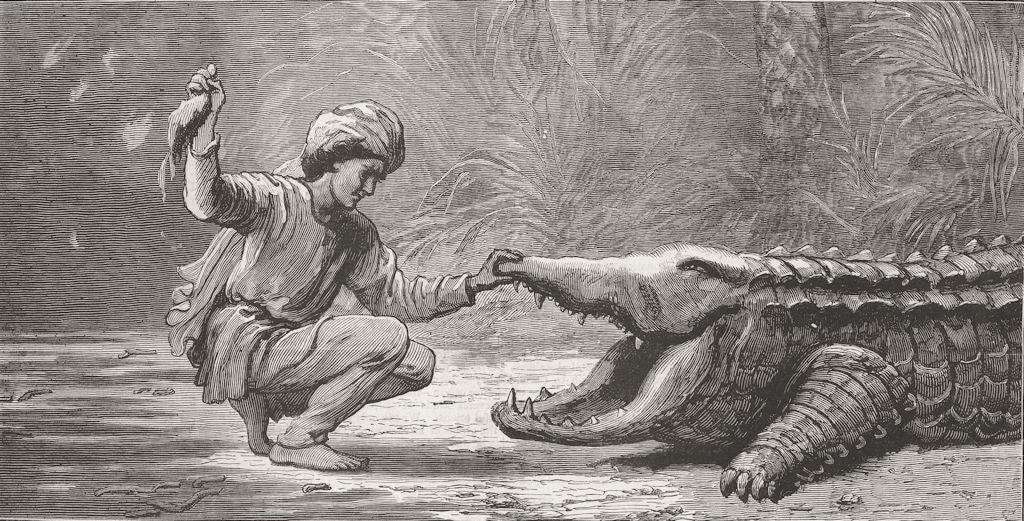 INDIA. Feeding the Rajah 1878 old antique vintage print picture